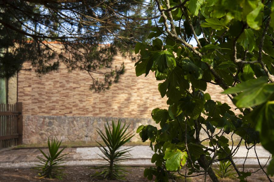 Salgado's Pine Garden — espaço de eventos em São Martinho do Porto 35