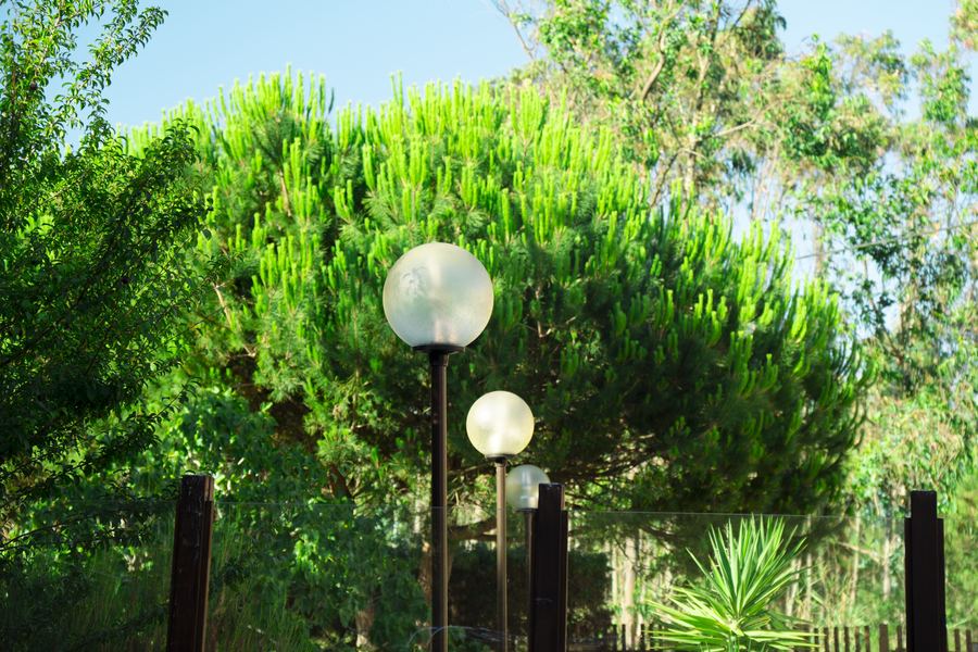 Salgado's Pine Garden — espaço de eventos em São Martinho do Porto 33