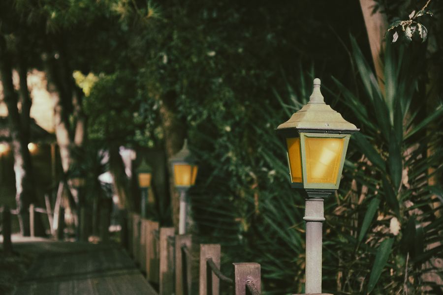 Salgado's Pine Garden — espaço de eventos em São Martinho do Porto 21