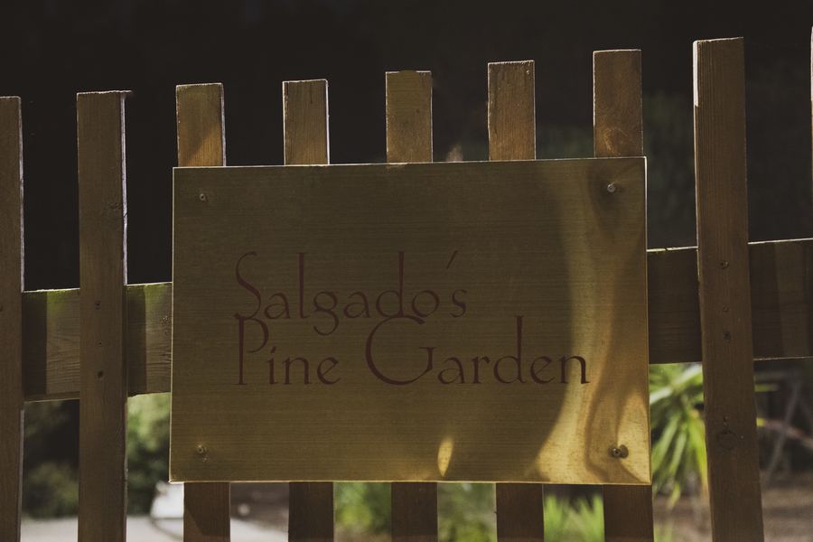 Salgado's Pine Garden — espaço de eventos em São Martinho do Porto 38