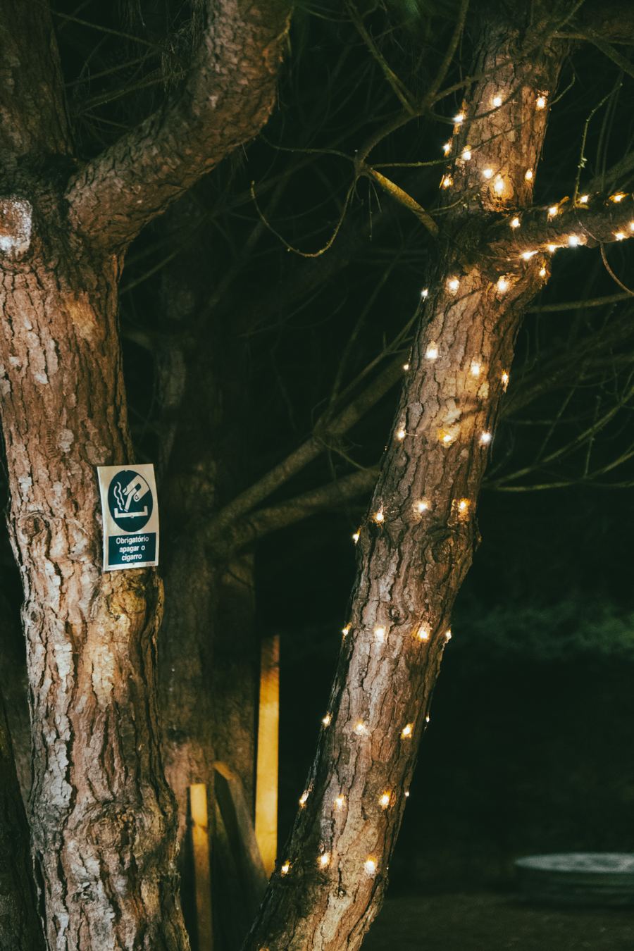 Salgado's Pine Garden — espaço de eventos em São Martinho do Porto 22